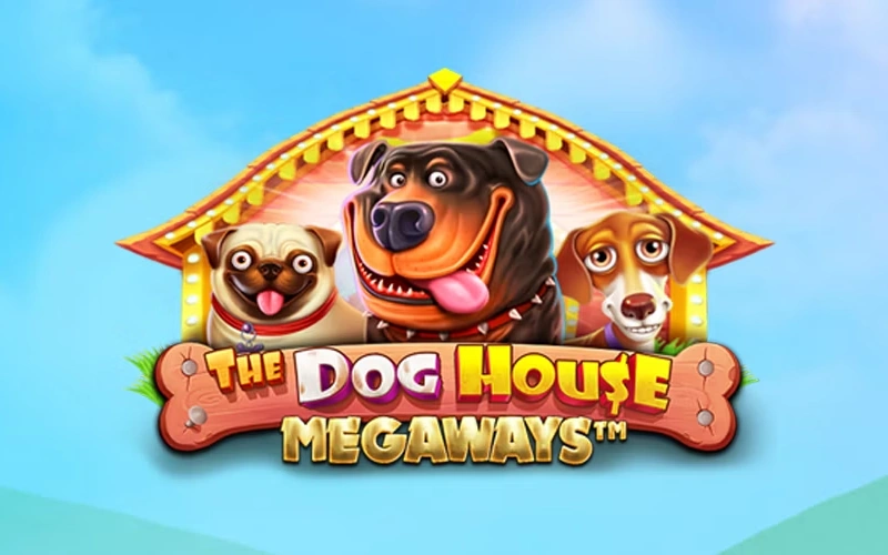Conseguí combinaciones perrunas y comodines pegajosos en The Dog House Megaways en Stake.
